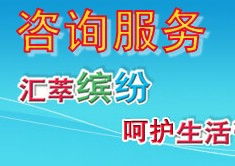 信息咨詢服務(wù) 定義、流程與核心價(jià)值