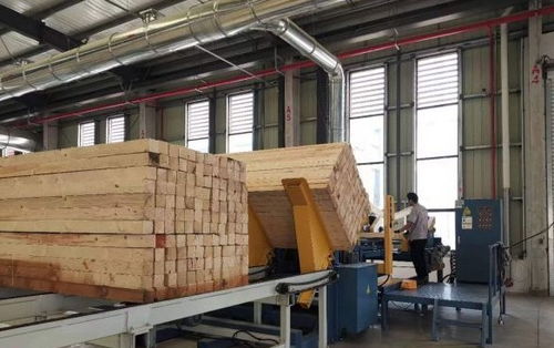 新民洲48家木材加工企業(yè)已加工木材約180萬立方米