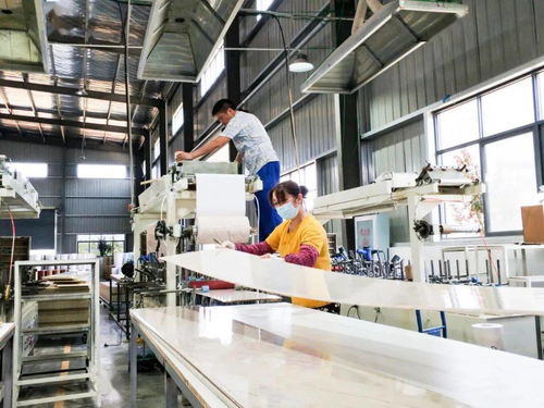 綠森林新材料 在困境中 破局