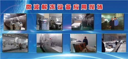 工業微波回溫解凍設備技術 推動國內冷凍食品加工企業的新篇章