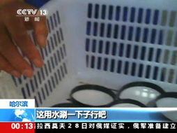 央視曝光知名廠家用變綠長毛瓜子仁加工冰淇淋