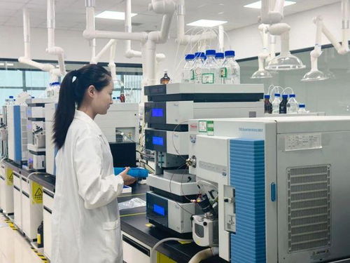 五八新經濟絲路運營總部正式入駐西咸新區