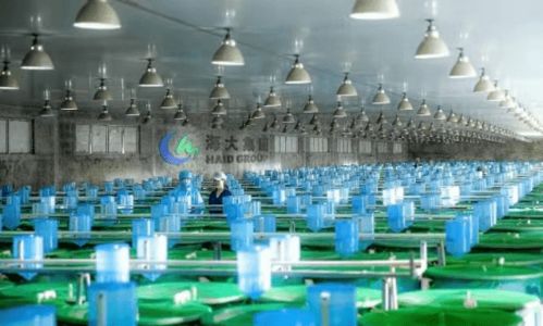 歲末盤點 2021廣東漁業十大關鍵詞