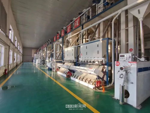 2025年4500億元 全省農產品加工業設定營收目標