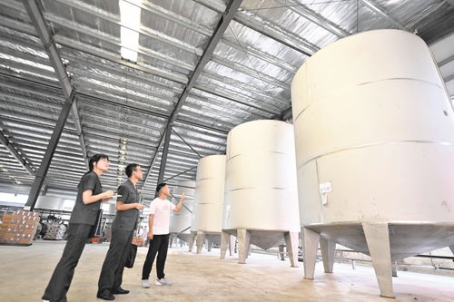 襄州區人民法院助力危困企業 破繭重生