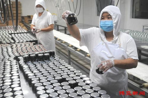 淄川 科技融入生產 企業贏得市場
