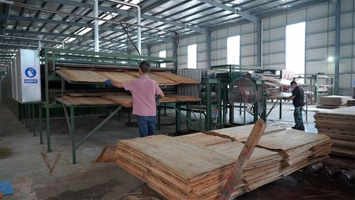 小木板大產業 木材加工業助力榕江縣鄉村振興