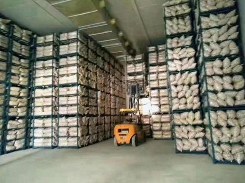 地利集團 推動農產品流通創新升級 助力高質量發展