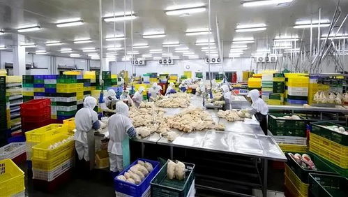 云浮4家企業入選新一輪外貿出口先導指數樣本企業