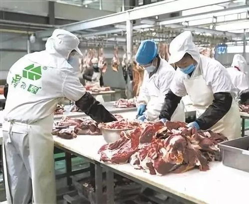 喜訊 青海四家企業獲得第七批農業產業化國家重點龍頭企業榮譽