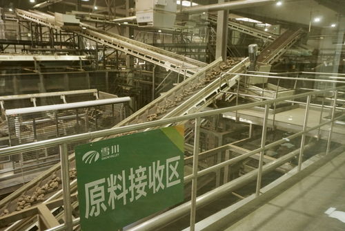 從種子到餐桌 稅收政策紅利為企業(yè)發(fā)展保駕護(hù)航