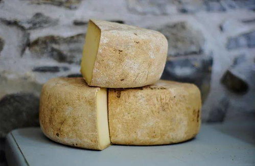 這種奶酪其實是 冒牌貨 鈣含量差了5倍不止